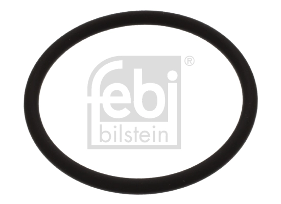 Seal Ring, injector shaft